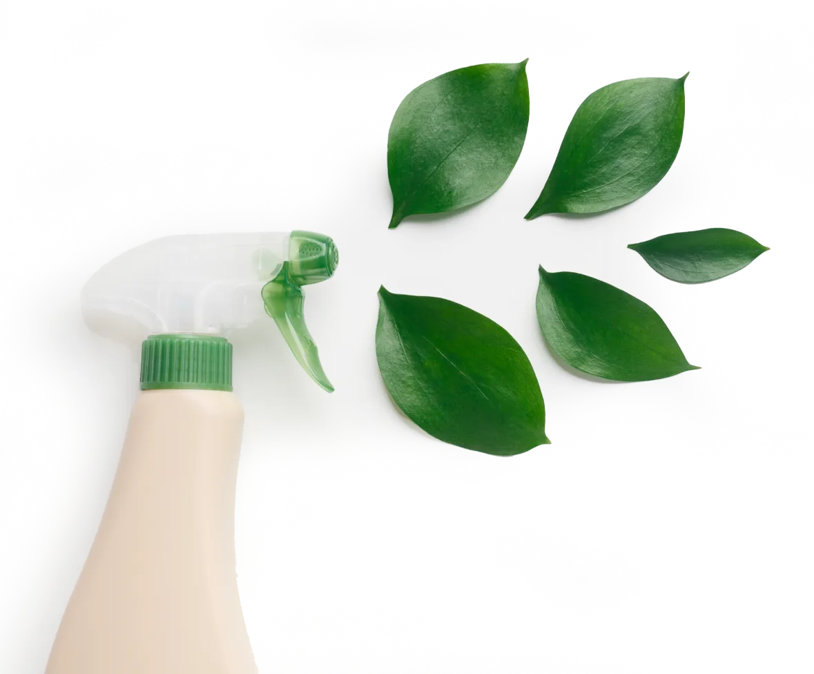 Detergente ecologico spray e foglie verdi, simbolo delle pulizie green